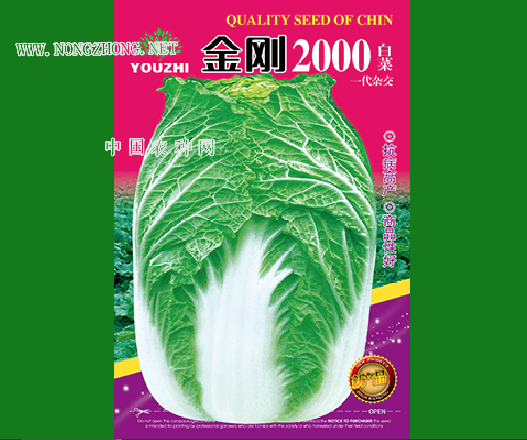 金刚2000